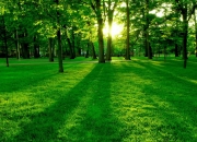 雷火电竞亚洲先驱-篮球版摩纳哥弯道，布伦森驾驶掘金，在热火赛道完成致命超车