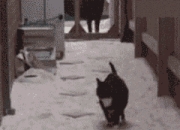 雷火电竞app-皮克爆破东方防线，拉齐奥精准战术打穿日本铁壁