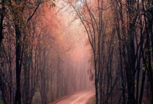 开云-当绿茵闪电撞上绿衫铁壁！姆巴佩奥运单挑凯尔特人，数据揭秘世纪交锋