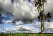 雷火电竞登录-金色眼泪沸腾时：当勇士梦断奥运，球迷的呐喊震碎星空