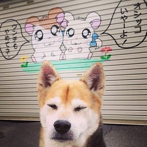 意甲内战,土耳其之魂!巴斯托尼冻结因莫比莱,赛后评分拉满诠释何谓现代铁闸